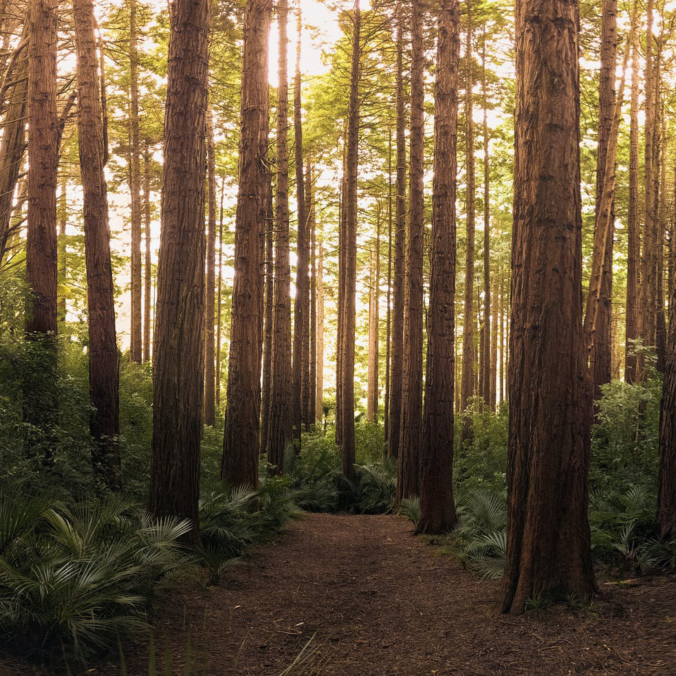 Sostenibilta colombini casa